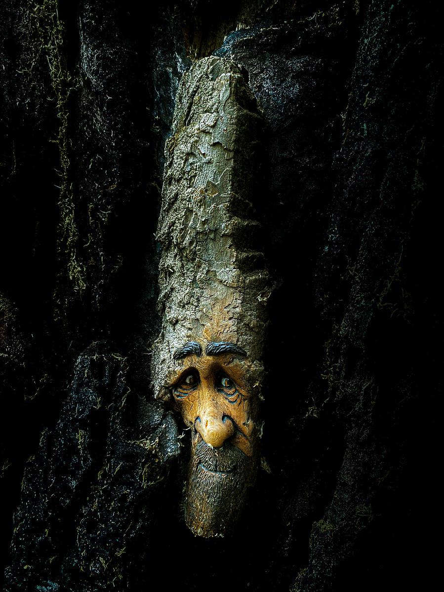 Face carved into a tree trunk, lit against a dark background